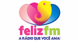 Feliz FM (تيريسينا) 95.7 ميجا هرتز