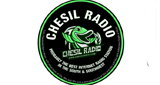 Chesil Radio