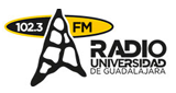 UDG Radio (오틀란 데 나바로) 102.3 MHz