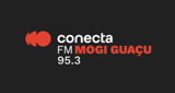 Conecta FM (Mogi Guaçu) 95.3 MHz