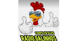 Radio Galinhos (Galinhos) 