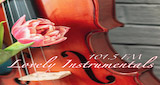 Lovely Instrumentals 101.5 FM