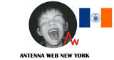 Antenna Web New York (ニューヨーク) 