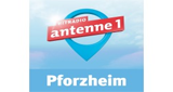 Hitradio antenne 1 Pforzheim (プフォルツハイム) 107.0 MHz