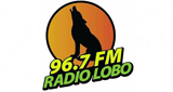 Radio Lobo (Túxpam) 96.7 MHz