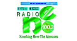 Radio NE FM100.3 (ギンバ) 