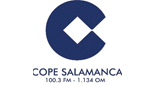 Cadena COPE (Саламанка) 100.3 MHz
