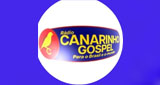 Radio Canarinho Gospel Chapao Bonito (아라사투바) 