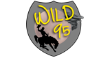 Wild 95 (Arlington) 