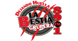 La Bestia Grupera (Энсенада) 89.1 MHz